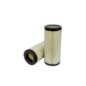 DONALDSON P772579 - PRIMARIO RADIALSEAL